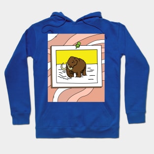 Ready Animals Elephant From The Original Time Hoodie